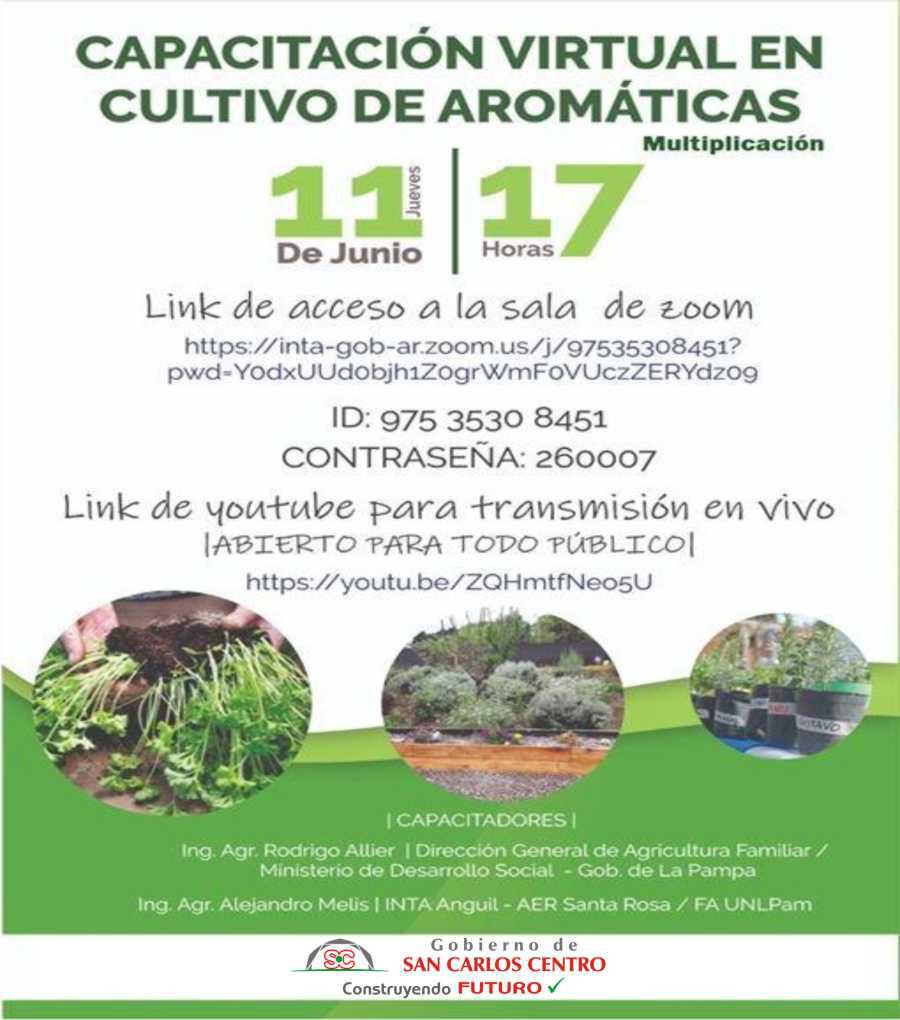 09062020-plantas