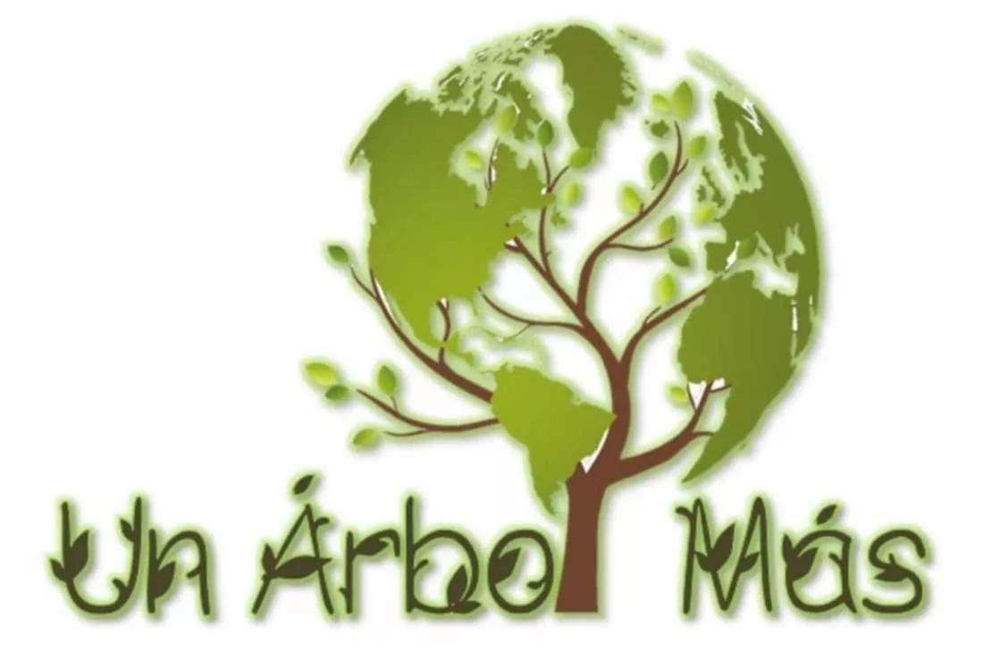 27102021-arbol