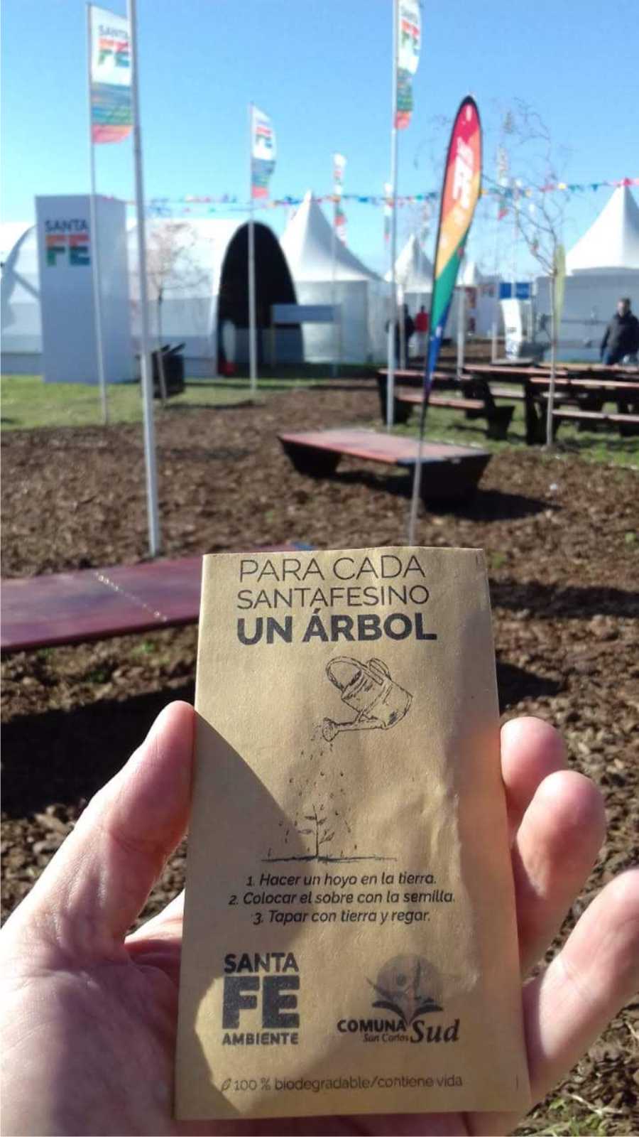 11062018-arbol