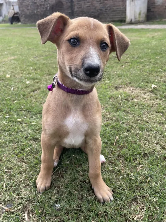 448889276_748631557485380_7194723942187677083_n