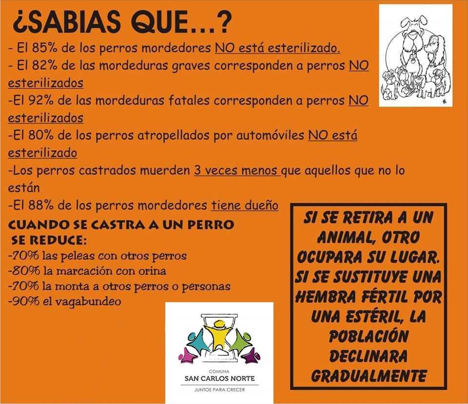24022020-castraciones