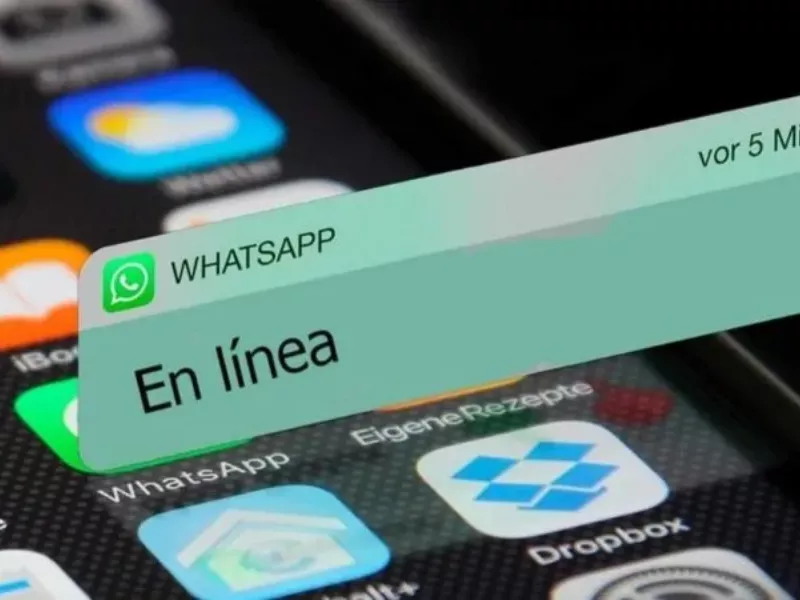 WhatsApp19