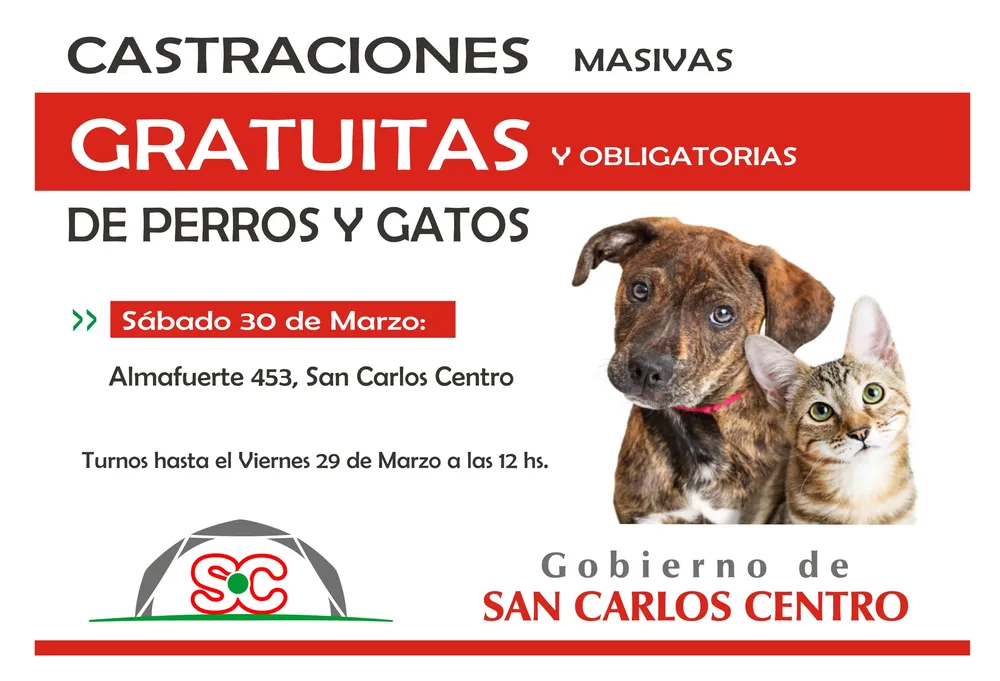 27032024-catraciones