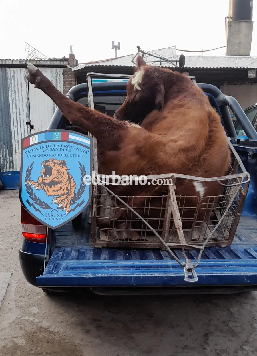 Imagen de WhatsApp 2024-08-02 a las 18.00.04_2163e110