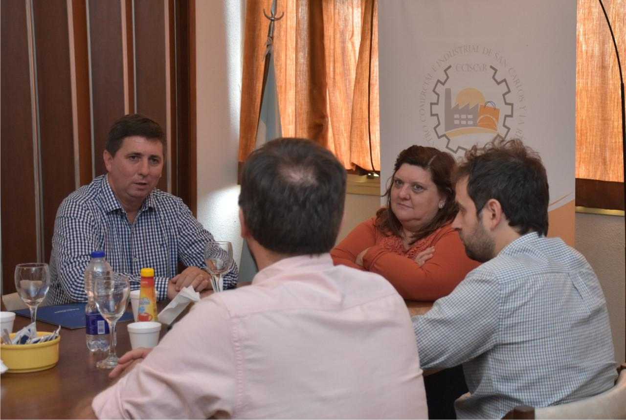 20112019-pirola