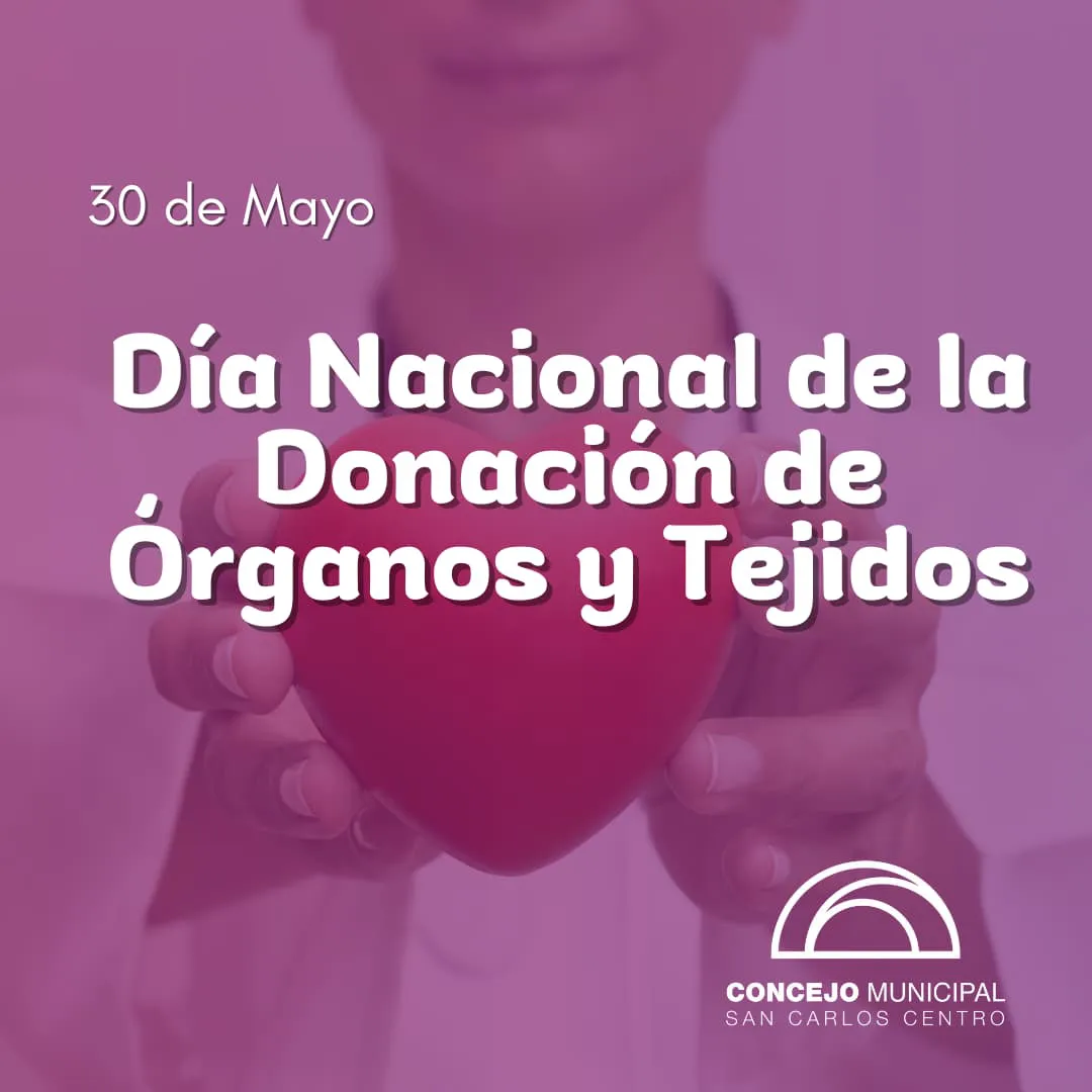 Imagen de WhatsApp 2025-05-30 a las 20.46.27_27ae6980