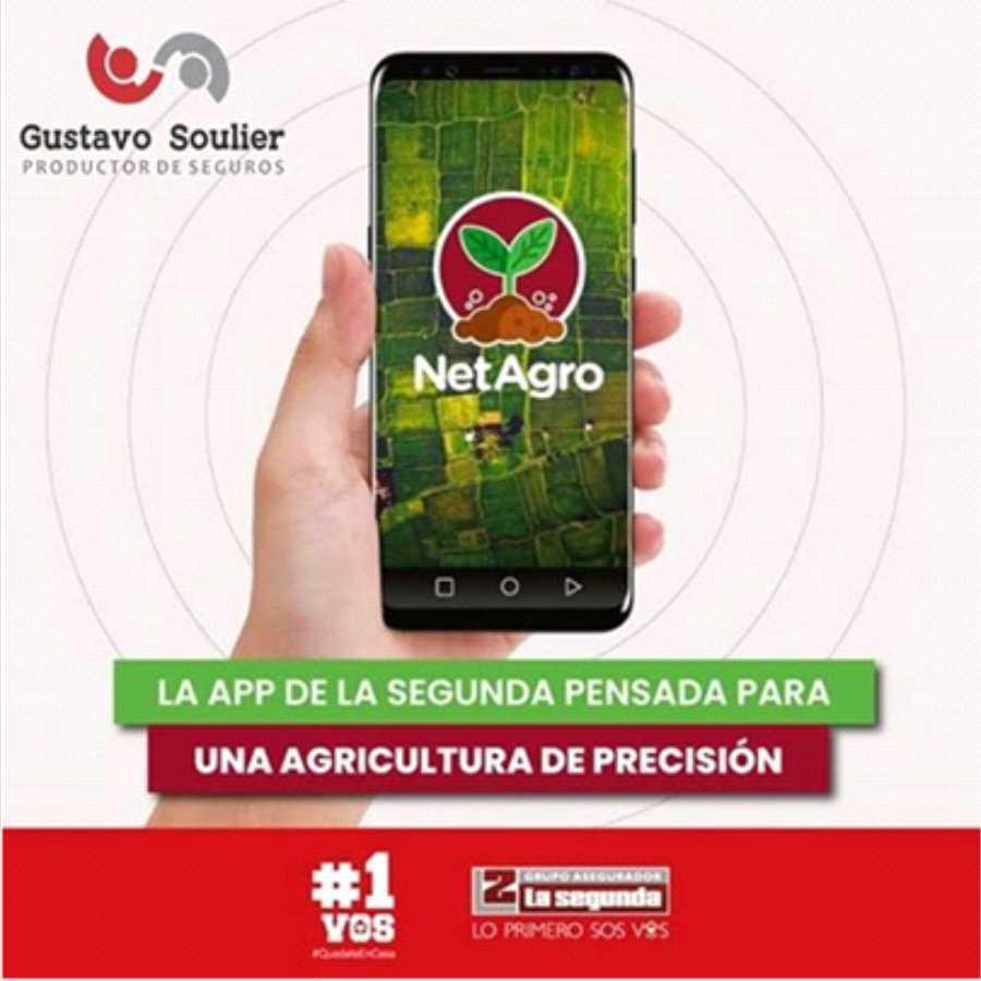 29072020-segunda3