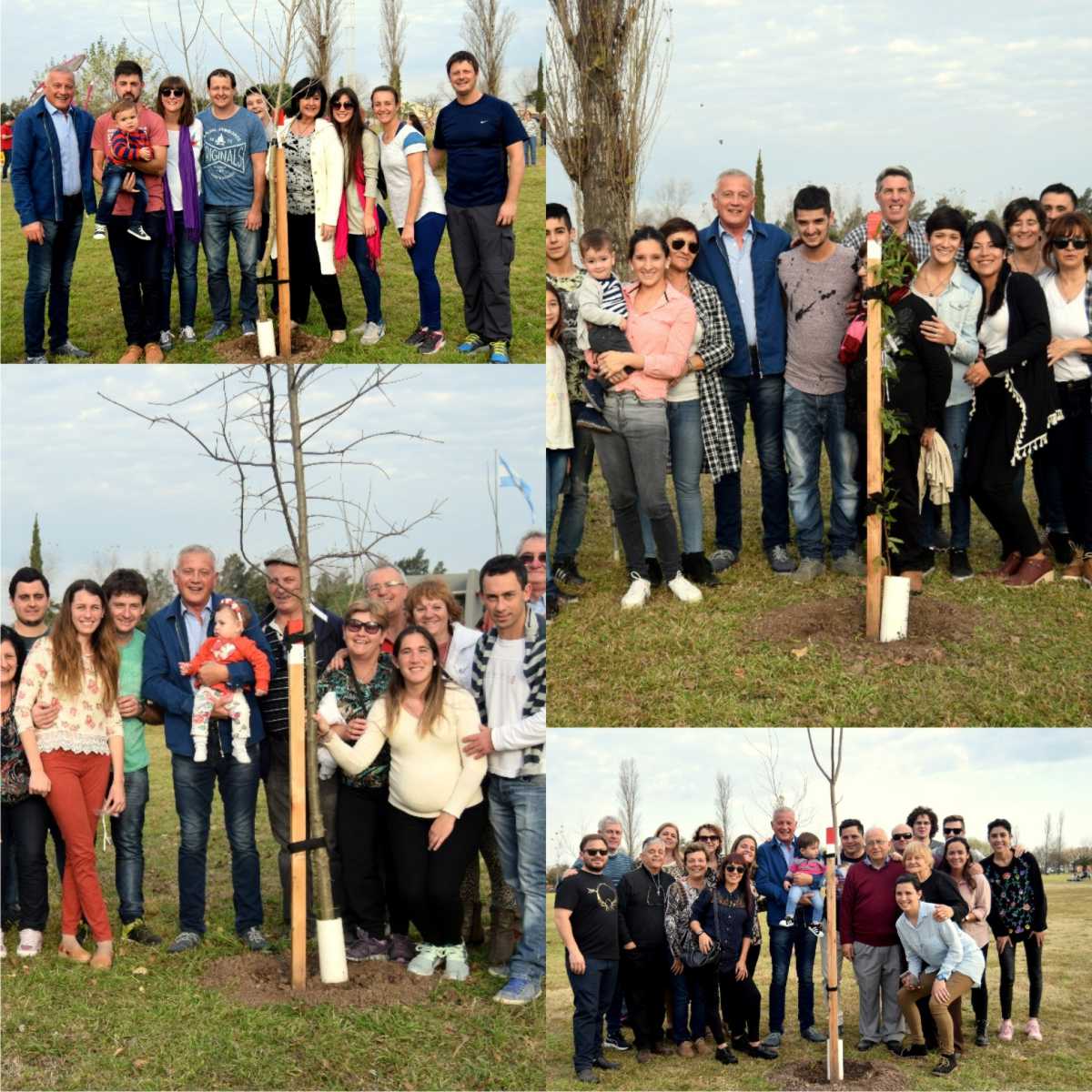 11052018-arboles-vida