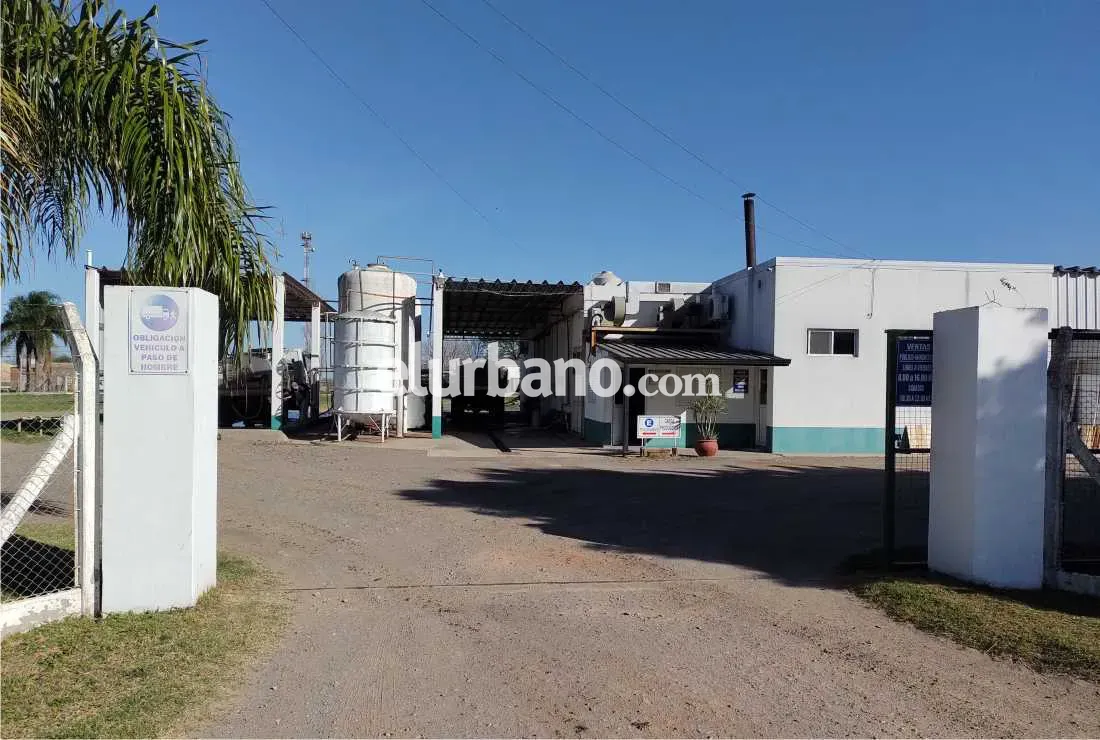 31082023-frutosdelcampo