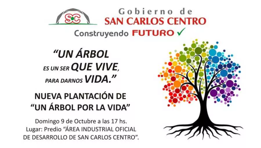 19092022-arbol