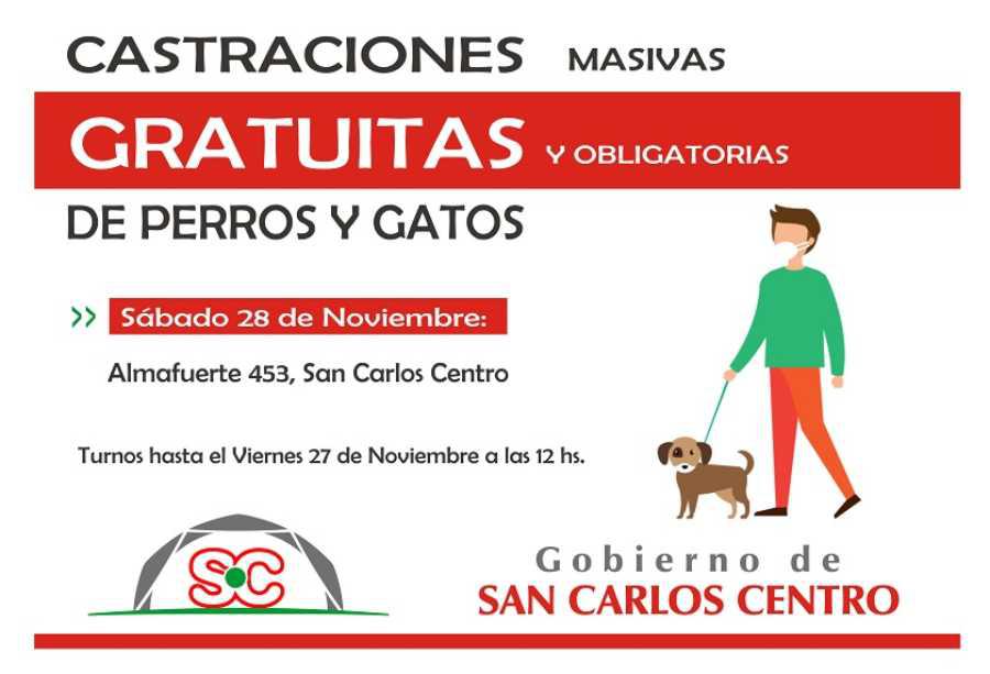 25112020-castraciones