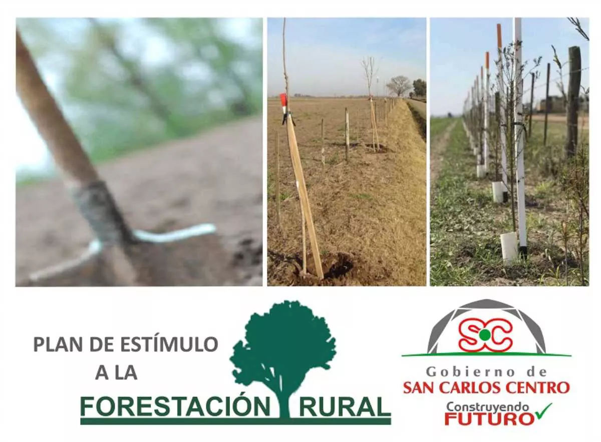 04052022-forestacion